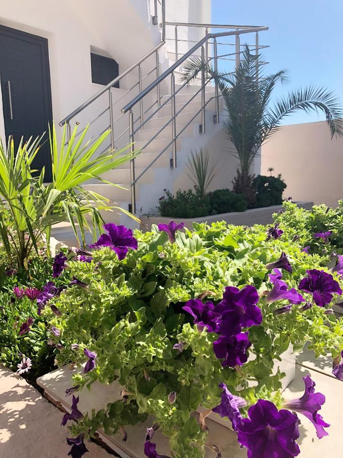 Villa Lemar Σάρτη Εξωτερικό φωτογραφία