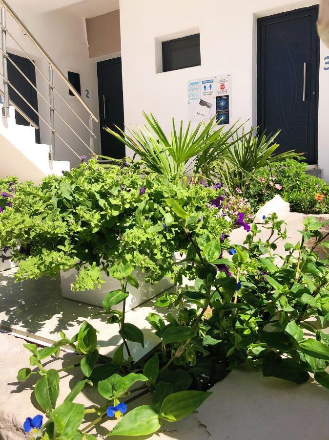 Villa Lemar Σάρτη Εξωτερικό φωτογραφία